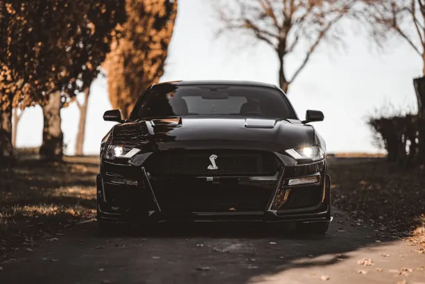 Casino777 Casino Android/iOS rakendus